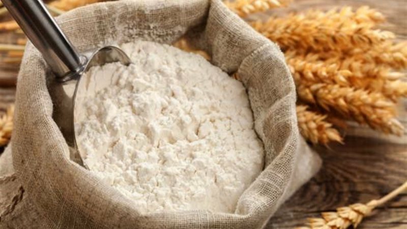 أسعار الدقيق بالقليوبية