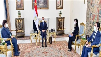 سماح أبو بكر عزت تكشف محور حديث الرئيس السيسي معها |فيديو 