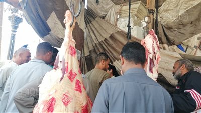 إقبال علي منافذ بيع اللحوم البلدية بشوادر قناl صور