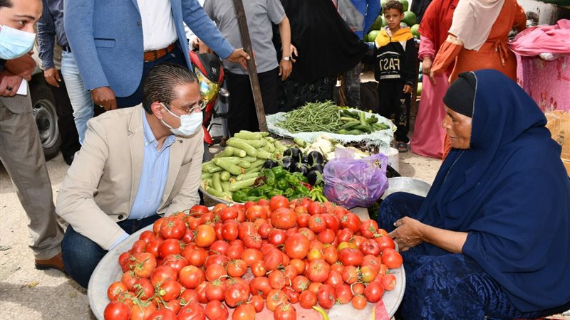 محافظ الفيوم يتابع