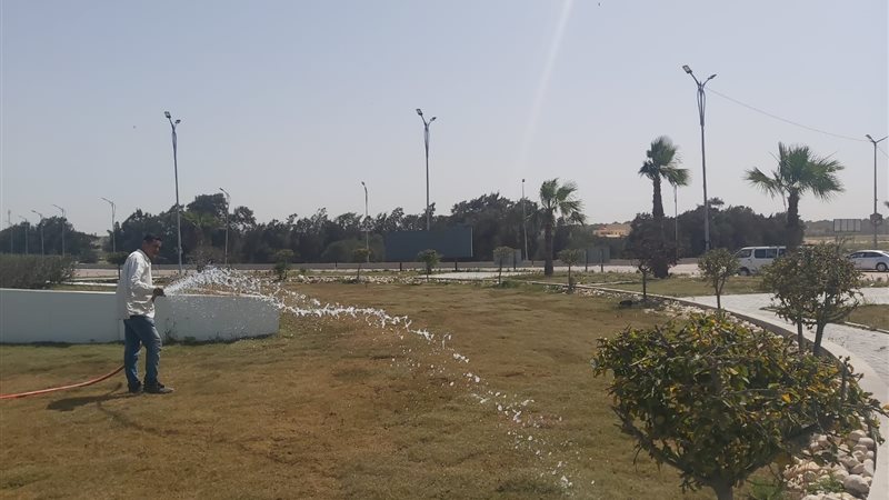 الاسكندريه