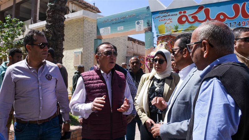 الاسكندريه