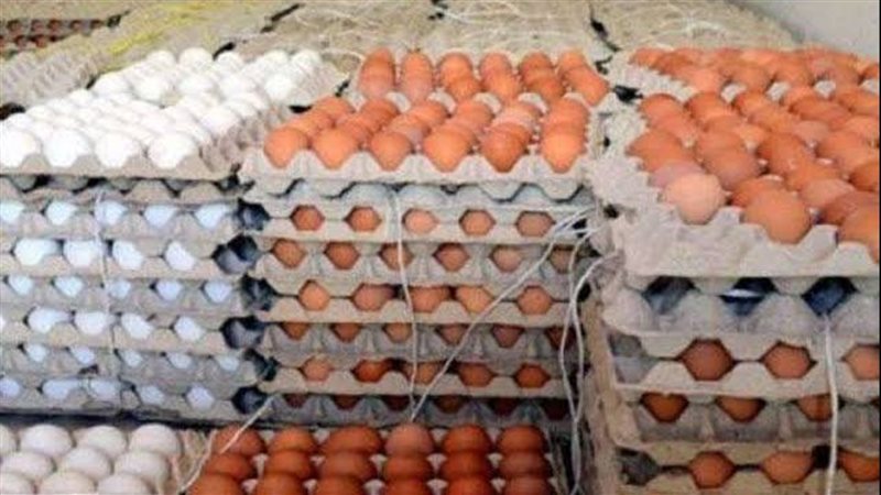 كرتونة البيض