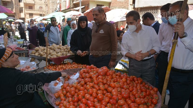 جولة محافظ الغربية