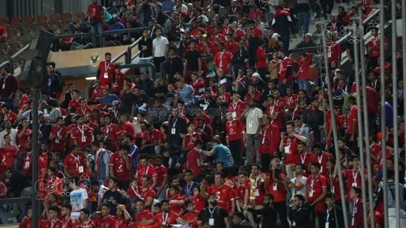 جماهير الأهلي 