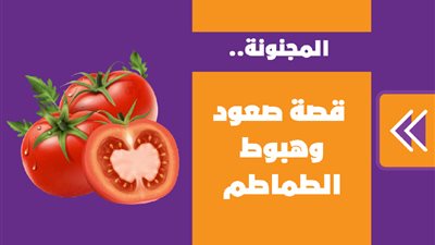 المجنونة.. قصة صعود وهبوط الطماطم | إنفوجراف