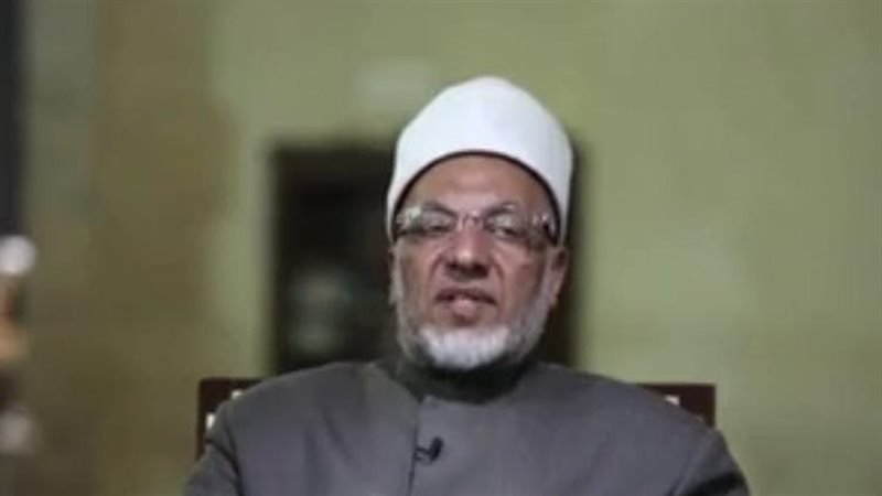 الدكتور سعيد عامر