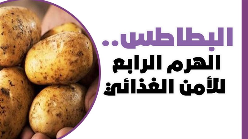 فيتو