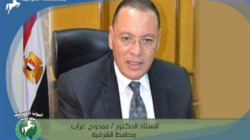 محافظ الشرقية