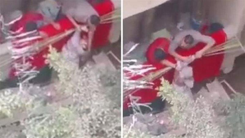 فتاة البلكونه 