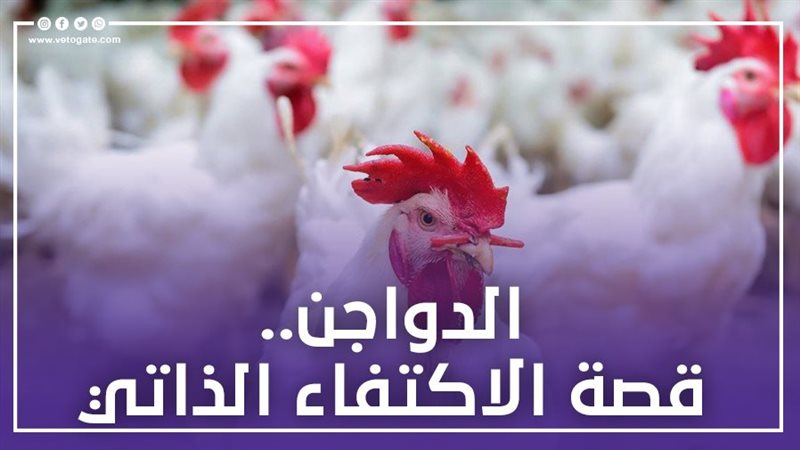 فيتو