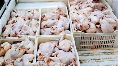 ضبط 60 جوال مجمدات غير صالحة للاستهلاك الآدمي بالأقصر 