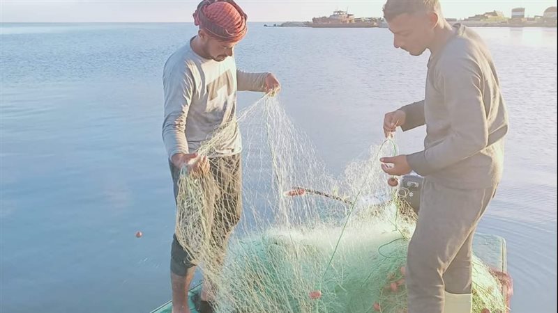بحيرة البردويل 