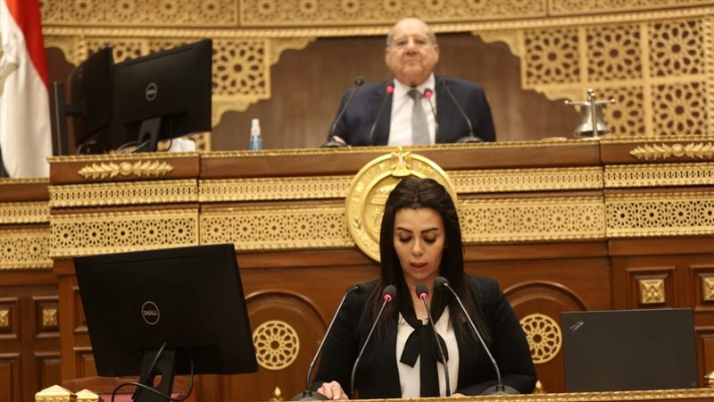 مجلس الشيوخ اليوم