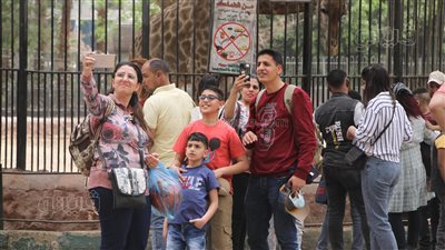أرخص خروجة.. إقبال على حديقة الحيوان بالجيزة للاحتفال بشم النسيم وأعياد القيامة | فيديو