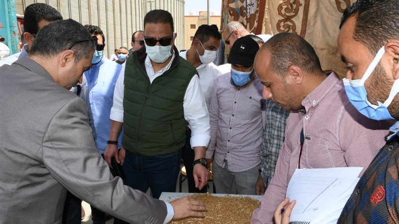 صوامع طامية