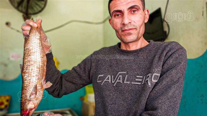 أسواق الفسيخ والرنجة