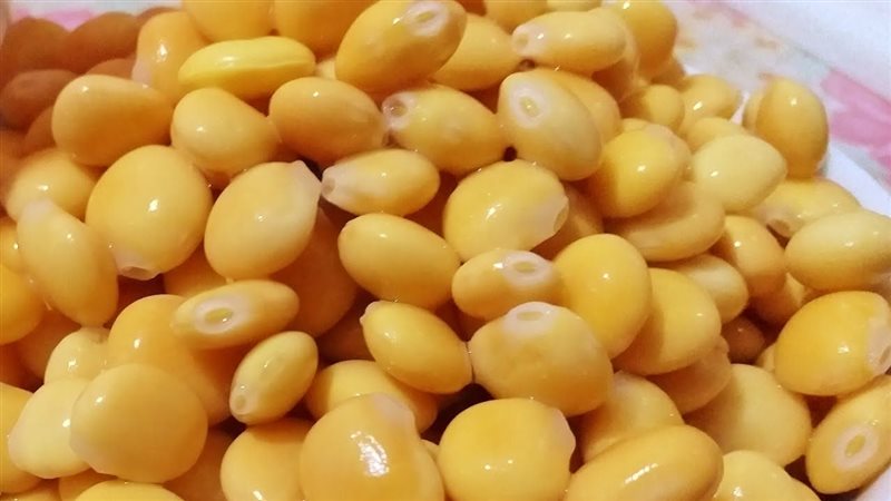طريقة عمل الترمس