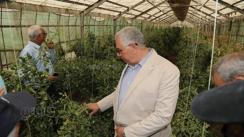 السيد القصير وزير
