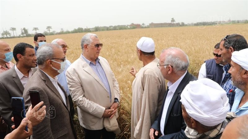 السيد القصير وزير