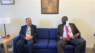 وزير المالية: التوسع فى الحلول التكنولوجية لتعزيز الحوكمة ودمج الاقتصاد غير الرسمي