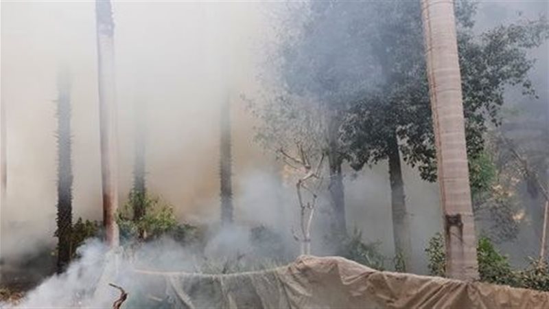 حريق في حديقة الاورمان