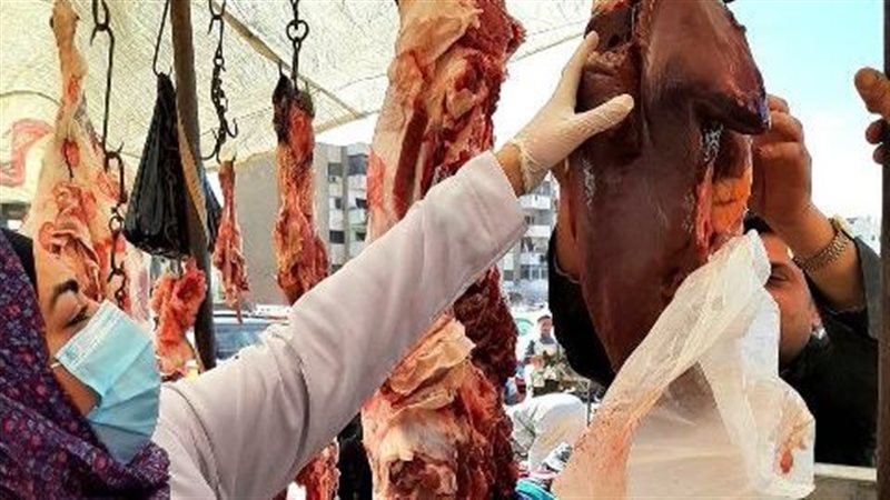 جانب من المضبوطات