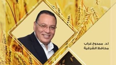 محافظ الشرقية: توريد 3700 طن قمح للصوامع خلال يومين 