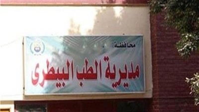 الطب البيطري بالأقصر