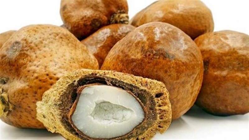 تفسير رؤية الدوم