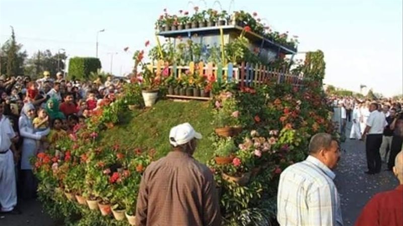 جانب من دفيلية سيارات