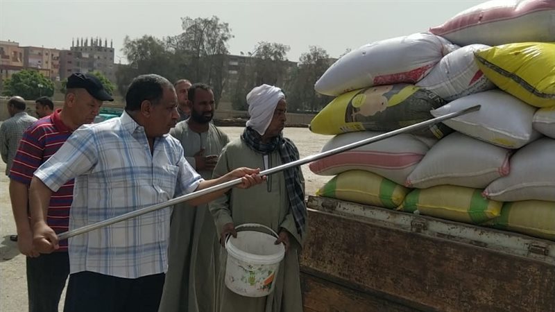استلام القمح 