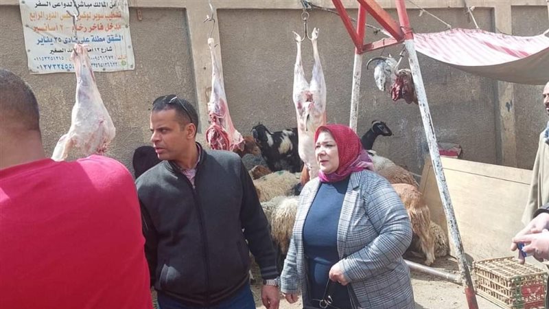 حملات الطب البيطري