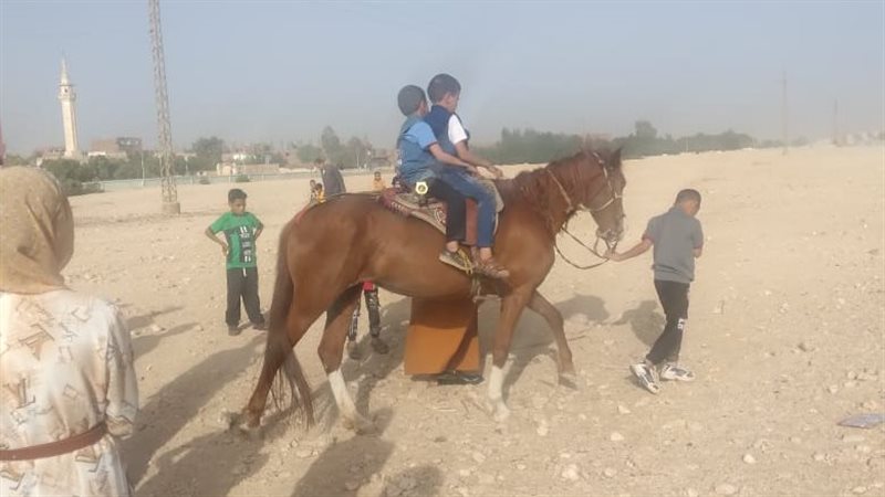 احتفالات العيد شكل