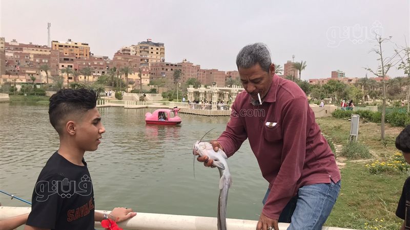 حديقة الجيزة 