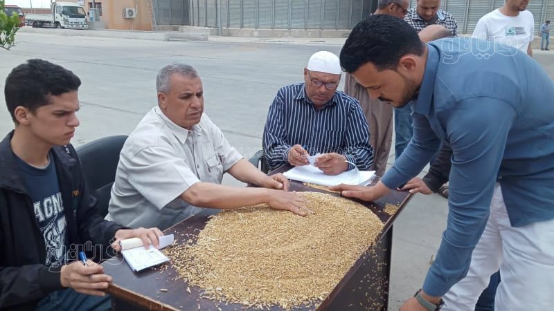 استقبال القمح من