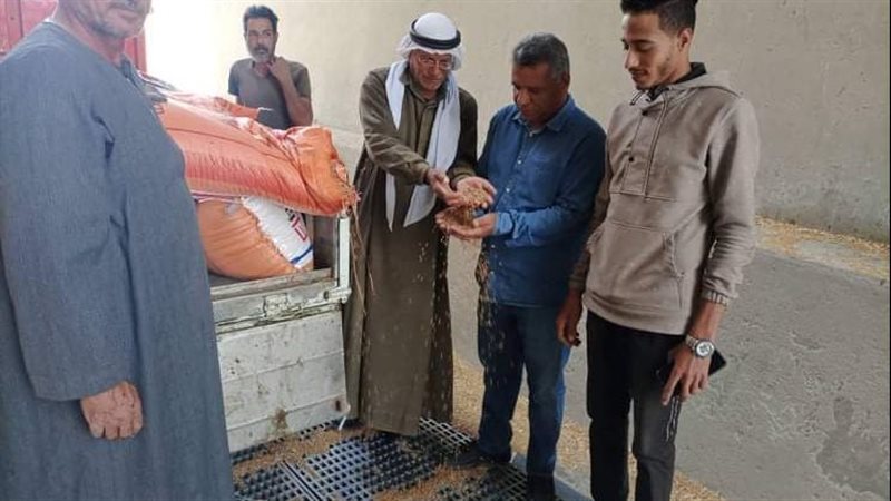توريد القمح بصوامع