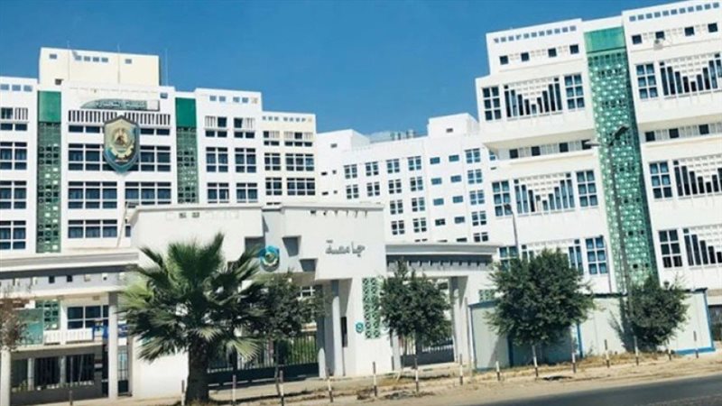 جامعة دمنهور