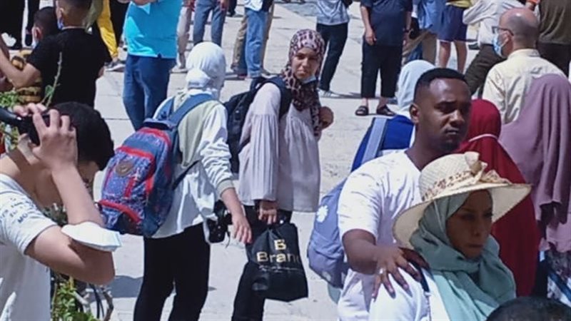 قلعة قايتباي