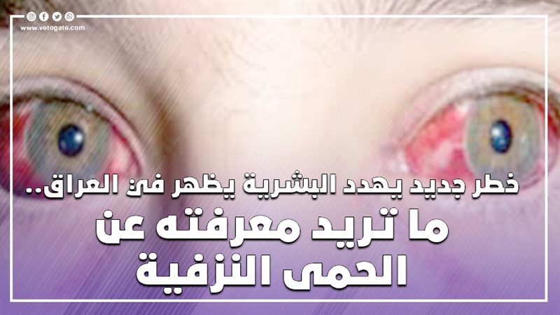 ما تريد معرفته عن