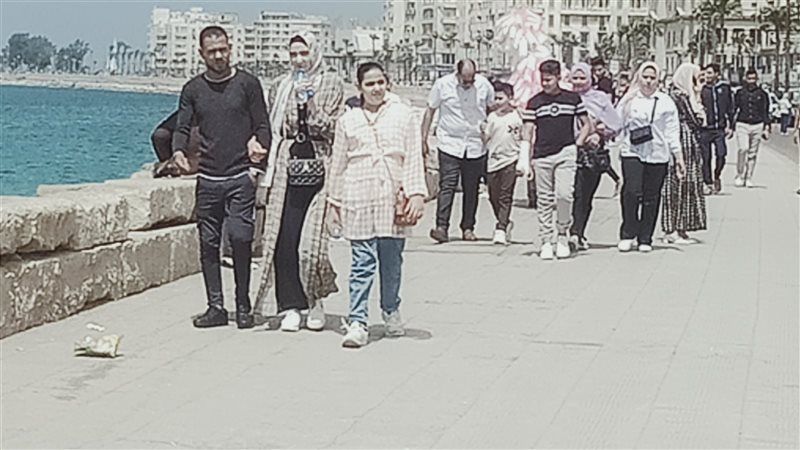 الاسكندريه