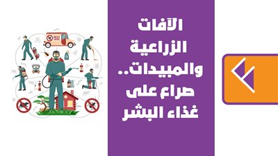 الآفات الزراعية والمبيدات.. صراع على غذاء البشر| إنفوجراف