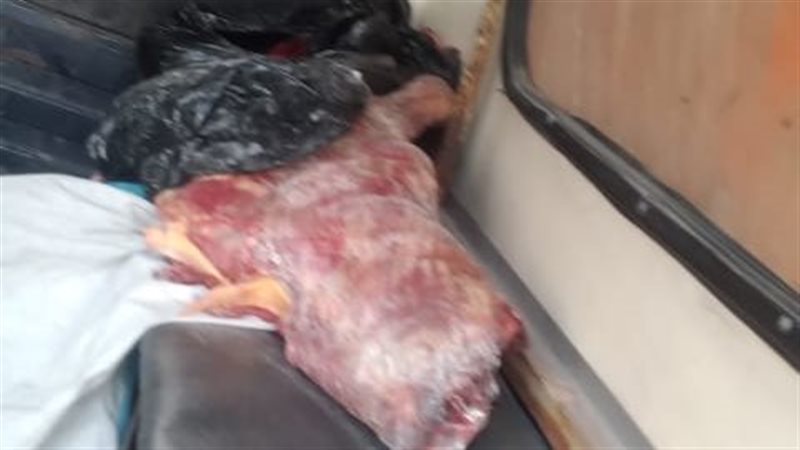 ضبط لحوم مجهولة المصدر