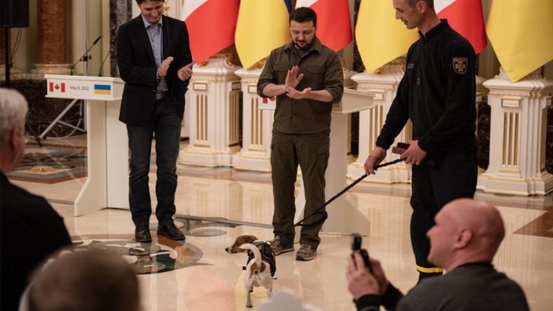 زيلينسكي يكّرم كلبًا