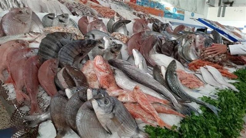 اسعار الاسماك فى
