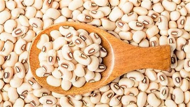 تفسير رؤية اللوبيا