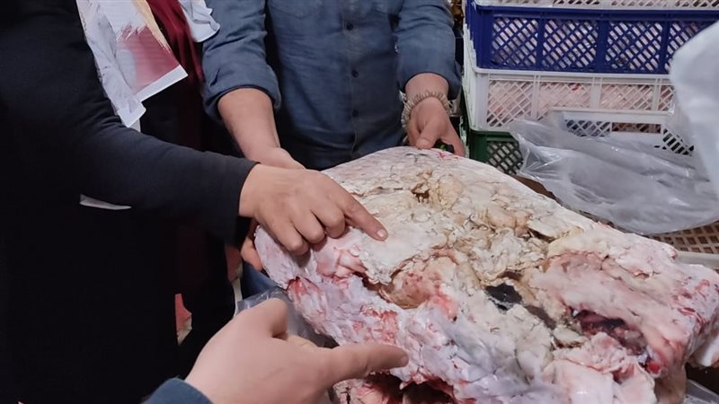 لحوم فاسدة 