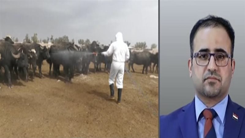 متحدث الصحة العراقية