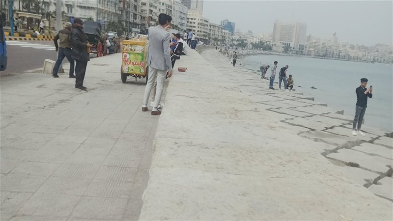 الاسكندريه