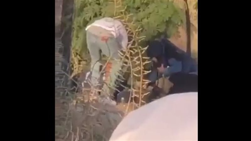 لحظة استشهاد شيرين